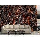 Fotótapéta - A fába faragott idő