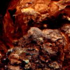 Fotótapéta - A fába faragott idő