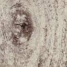 Fotótapéta - Fa minta 3