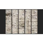 Fotótapéta - Gyöngyök a betonon 2