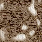 Fotótapéta - Barna virágok