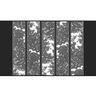 Fotótapéta - Szürke virágok