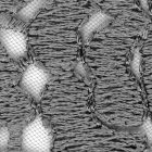 Fotótapéta - Szürke virágok