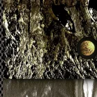 Fotótapéta - Arany változatosság