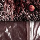 Fotótapéta - Kármin változatosság