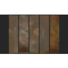 Fotótapéta - Arany Basilisk