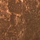 Fotótapéta - Arany gyapjú 2