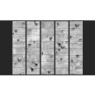 Fotótapéta - Fekete madarak az égen