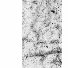 Fotótapéta - Szürke stílus