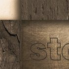 Fotótapéta - Különböző feliratok fán