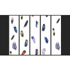 Fotótapéta - Színes tollak