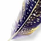 Fotótapéta - Színes tollak