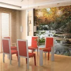 Fotótapéta - Ősz az erdőben