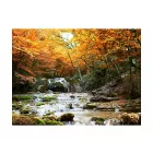 Fotótapéta - Ősz az erdőben