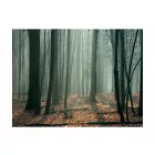 Fotótapéta - Köd az erdőben