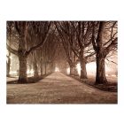 Fotótapéta - Út menti fasor