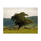 Fotótapéta - A kráter alatt