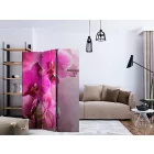 Paraván - Rózsaszín orchideák