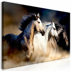 Kép - Vágtató lovak