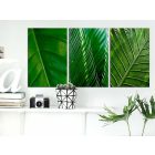 Kép - Levelek (gyűjtemény)