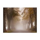 Fotótapéta - Ködös utakon