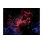 Fotótapéta - Bordós árnyak