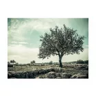 Fotótapéta - Kietlen táj