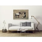 Kép - Banksy: Zebra mosása a betonon