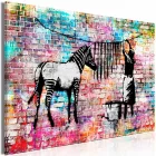 Kép - Színes zebra mosás