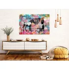 Kép - Színes zebra mosás