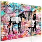 Kép - Színes zebra mosás II