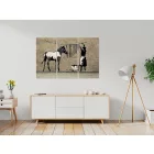 Kép - Zebra mosása a betonon II