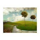 Fotótapéta - Színes mező