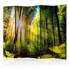 Paraván - Erdei rejtekhely II