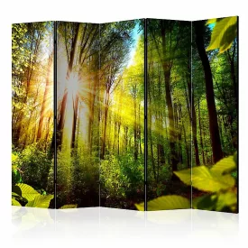 Paraván - Erdei rejtekhely II