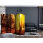 Paraván - Őszi séta az erdőben II