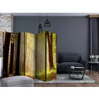 Paraván - Titokzatos erdei út II