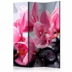 Paraván - Orchidea virágok zen kövekkel