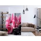 Paraván - Orchidea virágok zen kövekkel