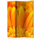 Paraván - Sárga gerbera százszorszépek