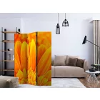 Paraván - Sárga gerbera százszorszépek