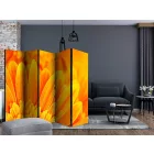 Paraván - Sárga gerbera százszorszépek II