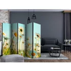 Paraván - Százszorszépek - tavaszi rét II