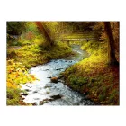 Fotótapéta - Ébredő patak