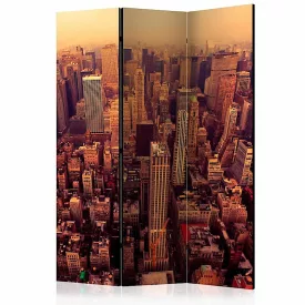 Paraván -  Manhattan madártávlatból