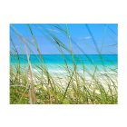 Fotótapéta - Kék varázslat