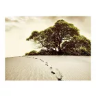 Fotótapéta - Oázishoz közeledve