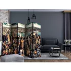 Paraván - New York madártávlatból II