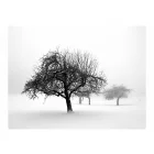 Fotótapéta - Itt van a tél