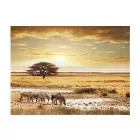 Fotótapéta - Állati menedék